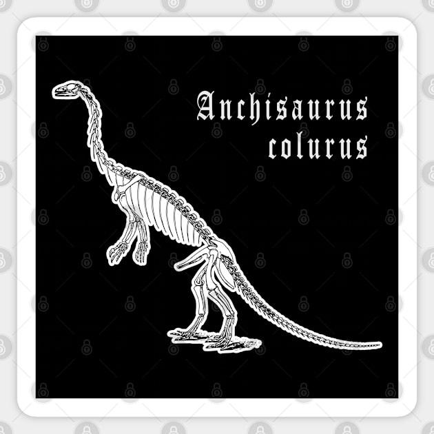 🦖 Fossil Skeleton of Anchisaurus colurus Dinosaur Species Sticker by Pixoplanet